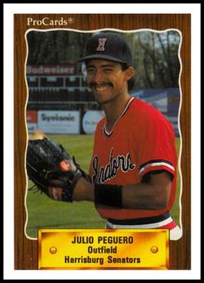 763 Julio Peguero